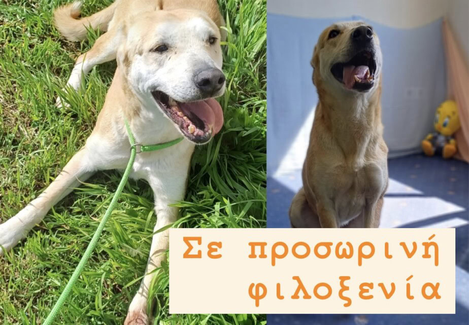Ερμής